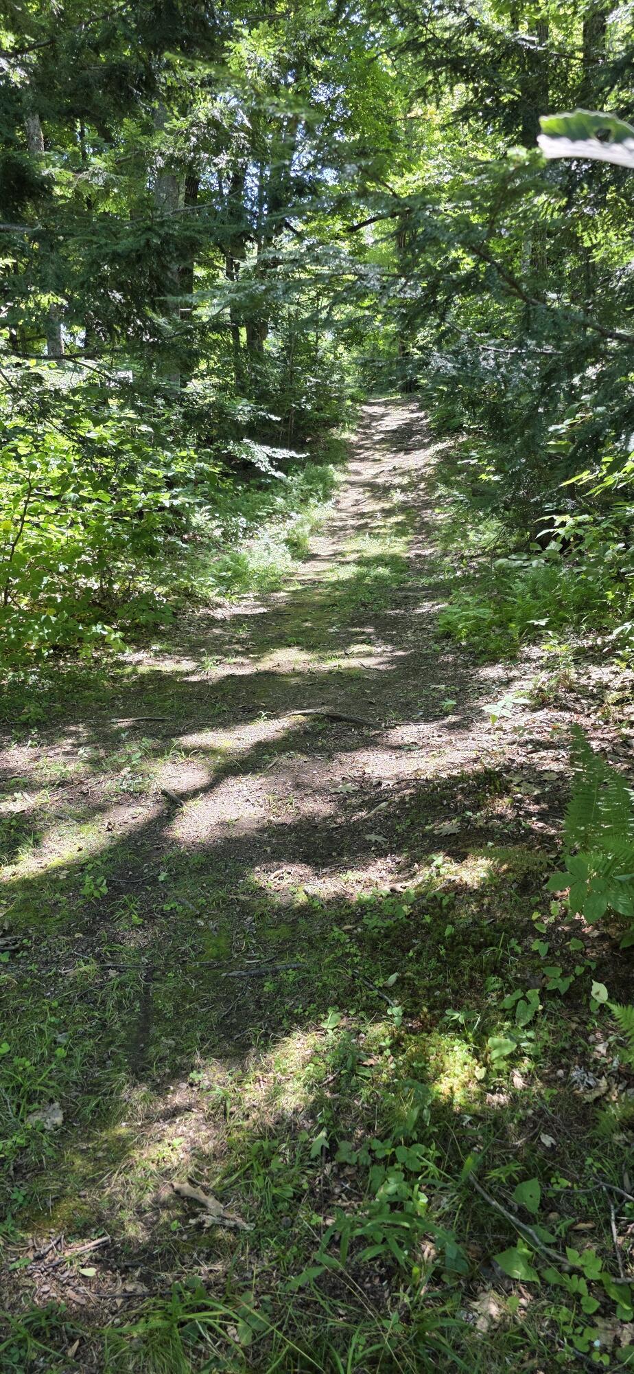 211 State Park Road Casco, ME 04015 - Photo 23 of 28 River Path
