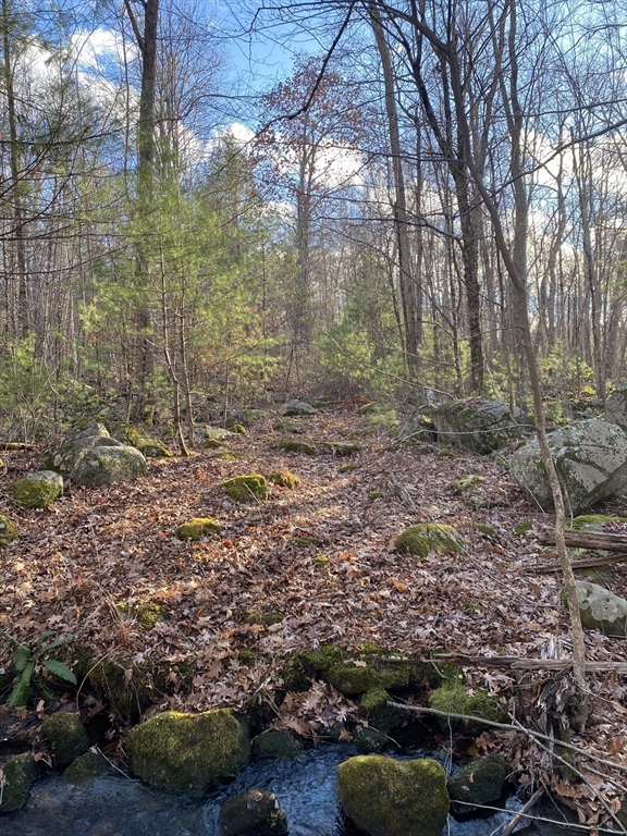 Lot B Brimfield Road Monson, MA 01057 - Photo 6 of 7 a view of multiple houses with trees