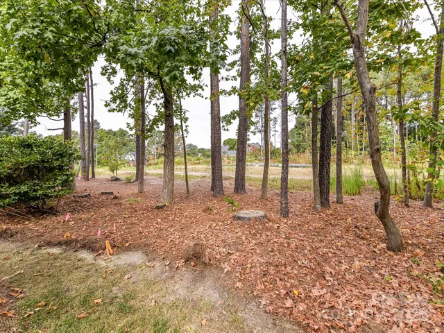 $550,000 | 3619 Savannah Hills Drive, Matthews, NC 28105