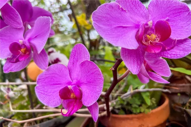 $429,000 | 265 Main Street, Delhi, NY 13753