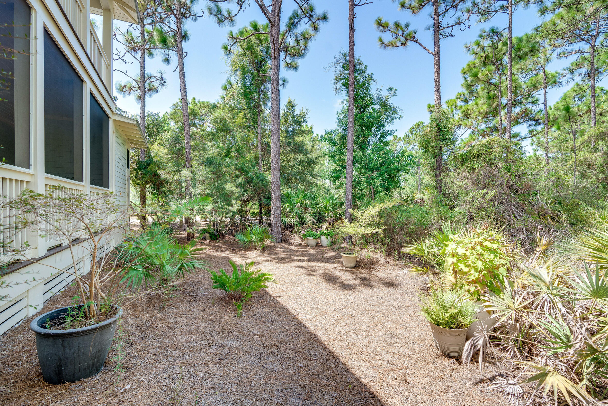 9 Beargrass Way Santa Rosa Beach, FL 32459 - Photo 24 of 56 DSC03339