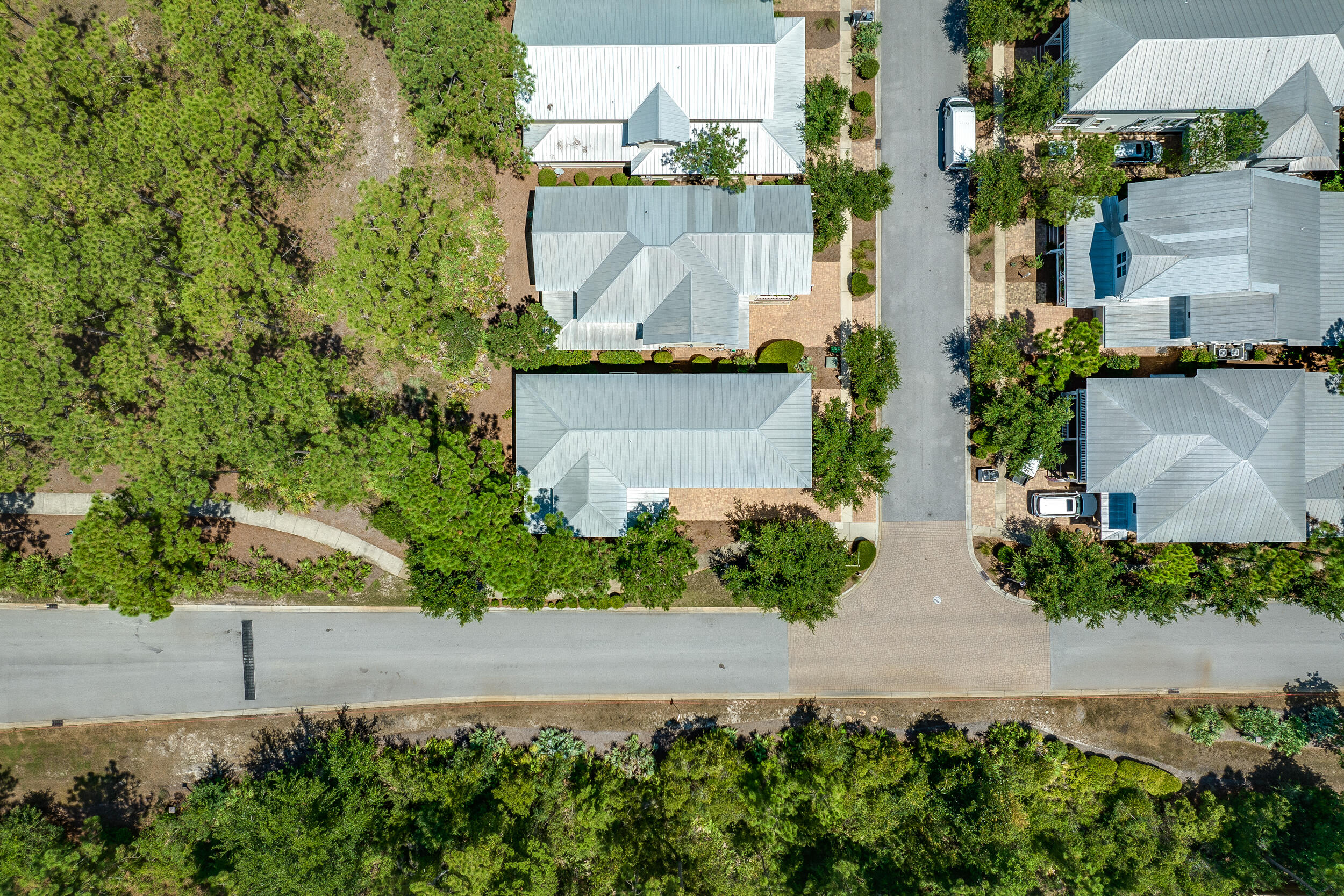 9 Beargrass Way Santa Rosa Beach, FL 32459 - Photo 41 of 56 DJI_0702
