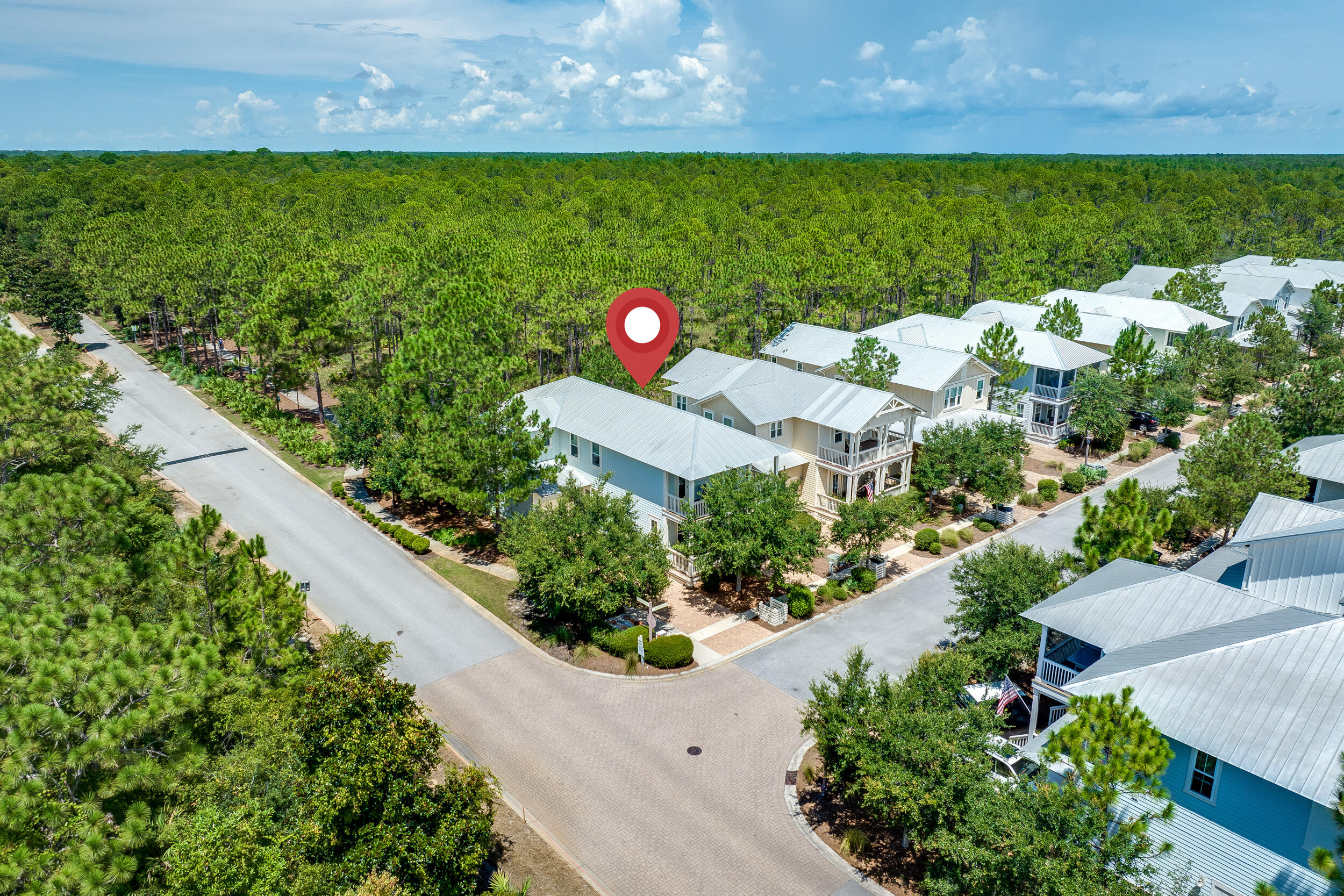 9 Beargrass Way Santa Rosa Beach, FL 32459 - Photo 43 of 56 DJI_0682
