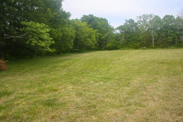 4793 Joe Peay Road Spring Hill, TN 37174 - Photo 12 of 22 Gallery Image 12