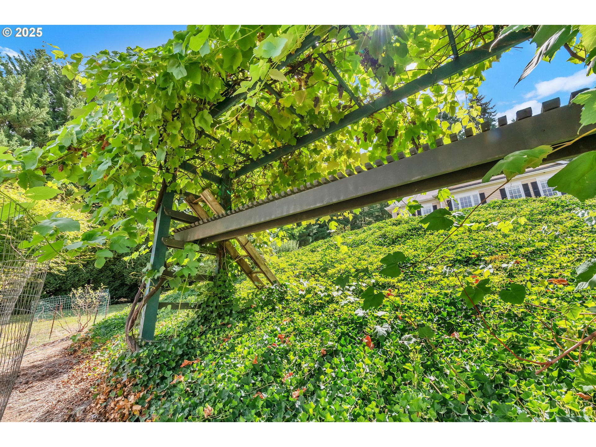 28408 Spencer Creek Road Eugene, OR 97405 - Photo 38 of 48