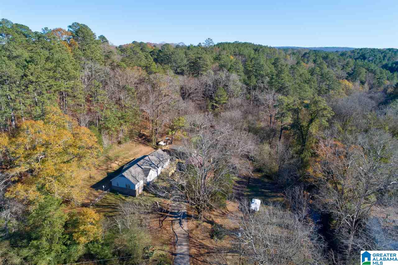 7235 Comer Dairy Road Morris, AL 35116 - Photo 34 of 37