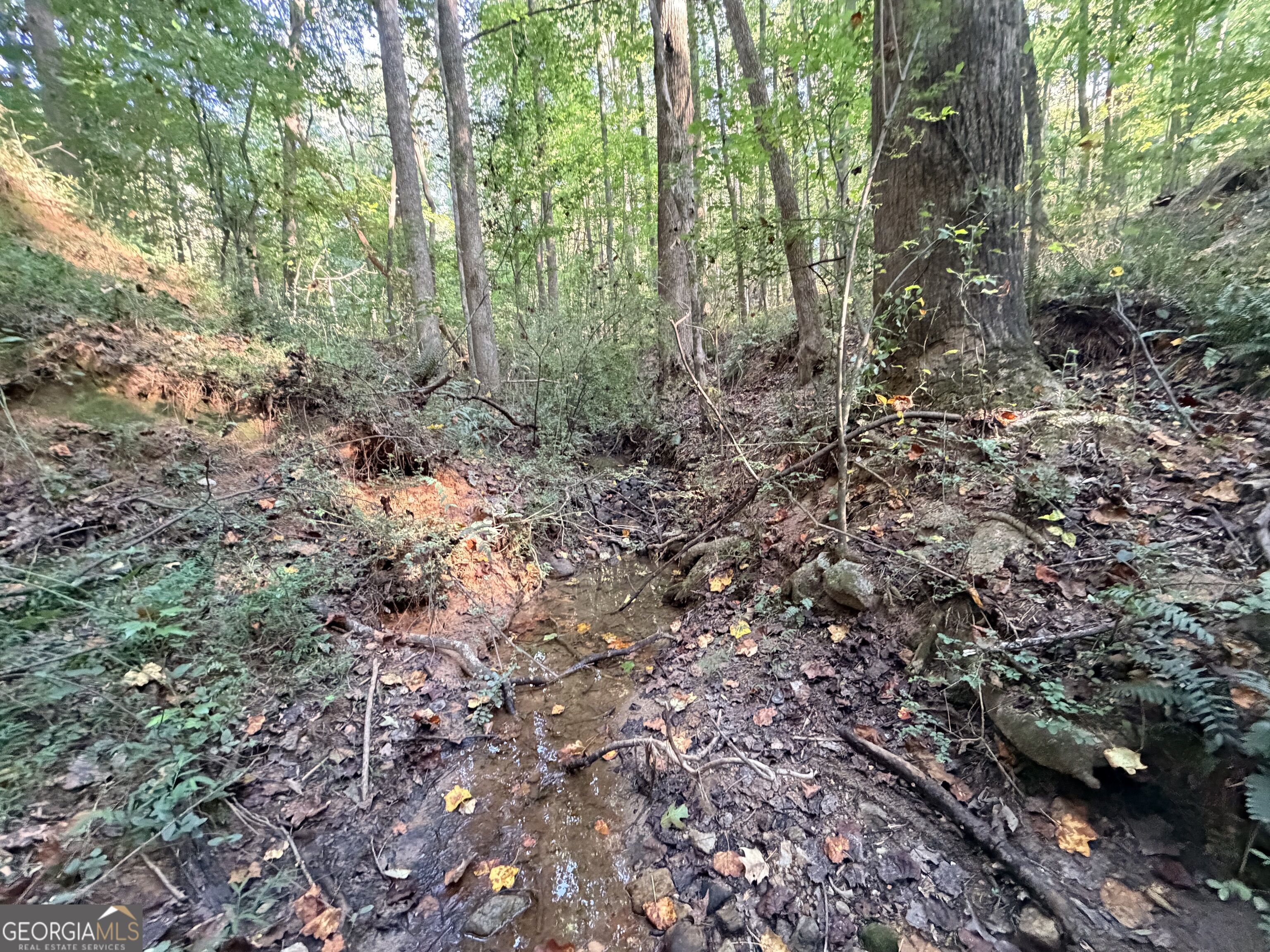 2105 Erastus Church Road Commerce, GA 30530 - Photo 23 of 41 Gallery Image 23