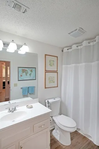 a bathroom with a sink a toilet a mirror and shower curtain