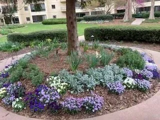 a view of a garden with a fountain
