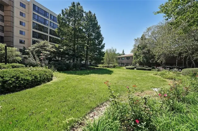 a view of a garden with plants and large trees