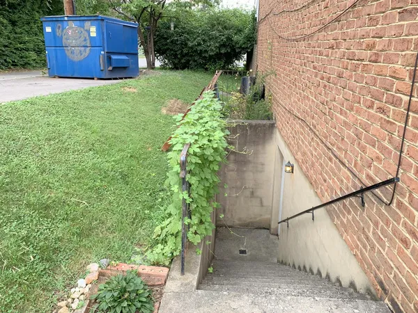 a view of a back yard