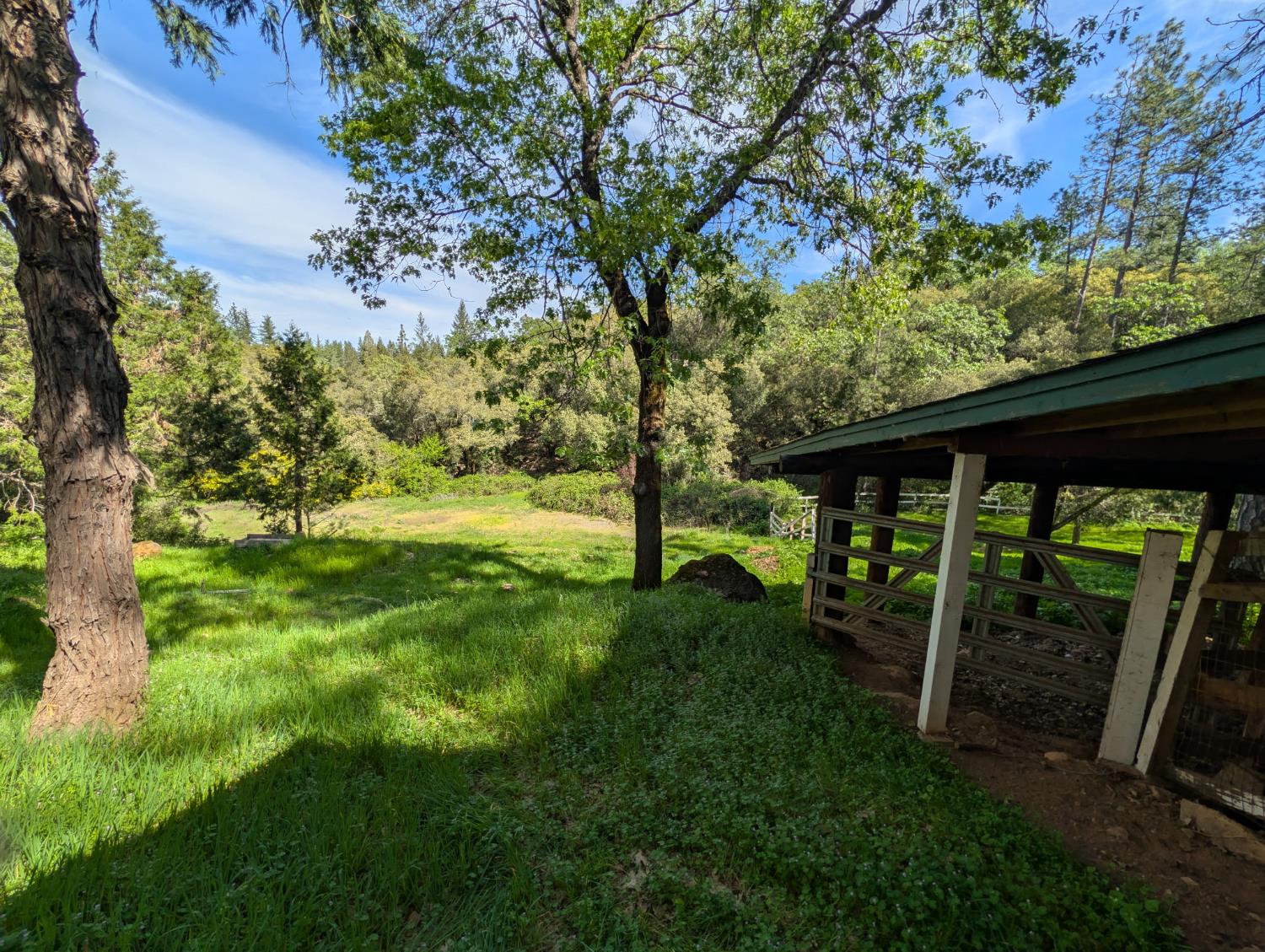 15405 McElroy Road Meadow Vista, CA 95722 - Photo 36 of 41