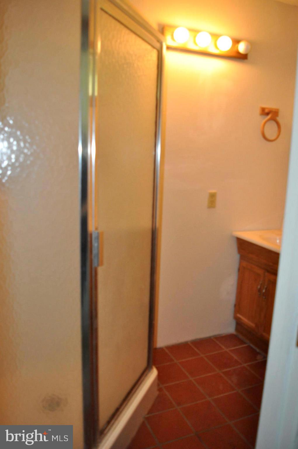 14618 Water Company Road Cascade, MD 21719 - Photo 72 of 105 Lower level bathroom