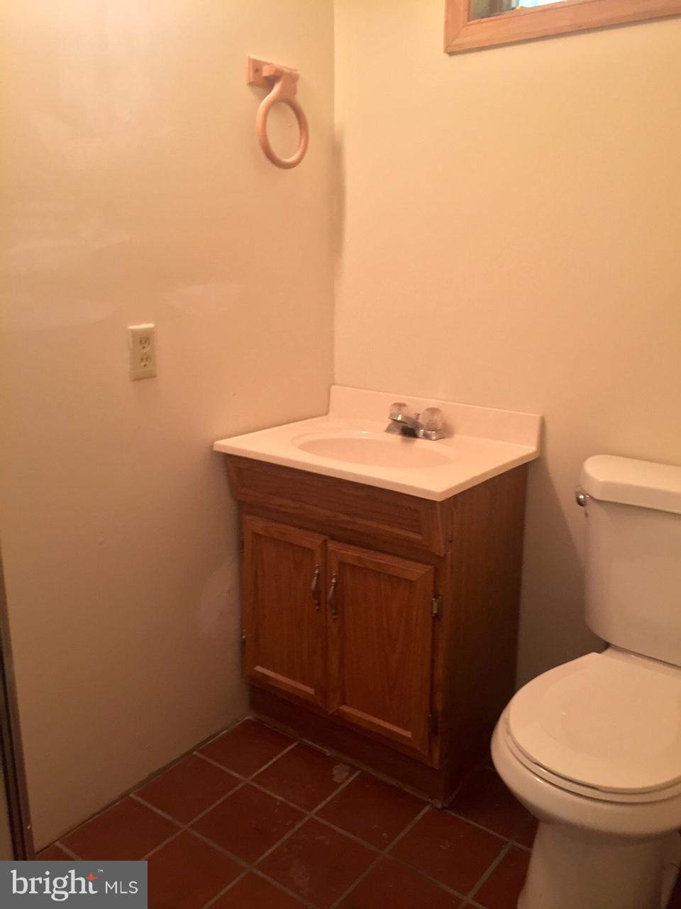 14618 Water Company Road Cascade, MD 21719 - Photo 73 of 105 Lower level bath