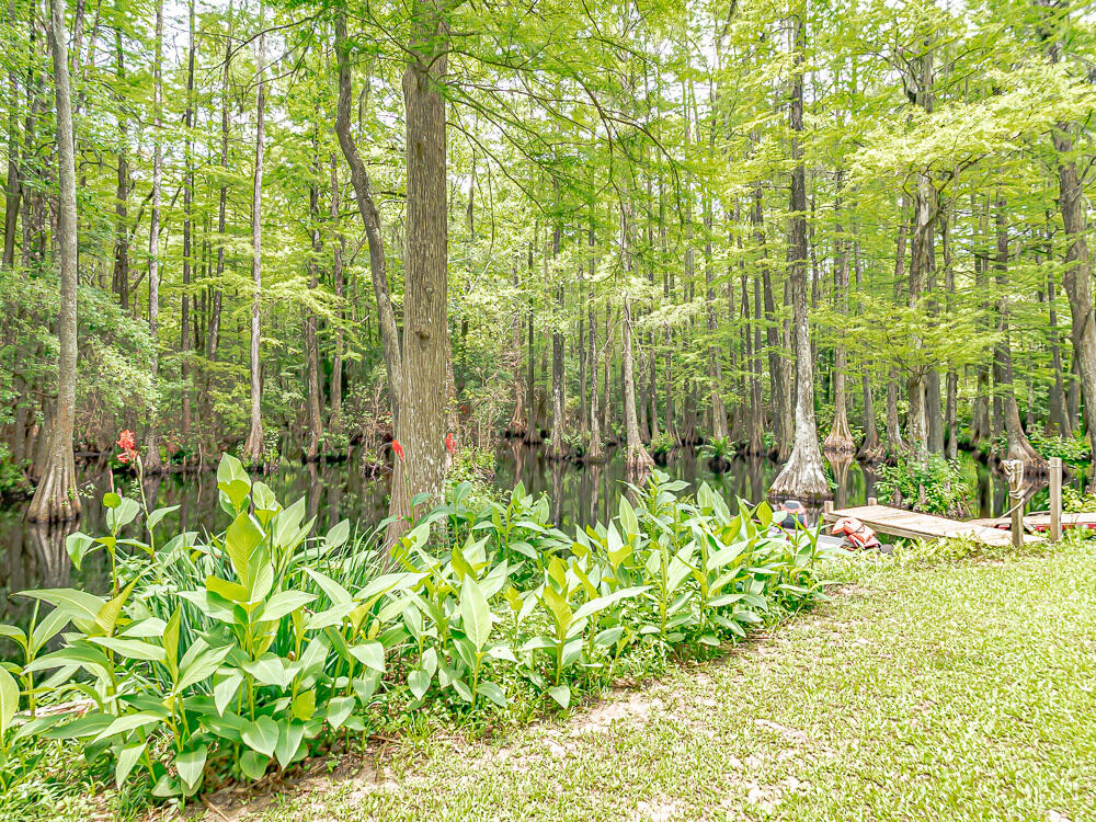 2482 Whites Mill Road Sumter, SC 29153 - Photo 31 of 65