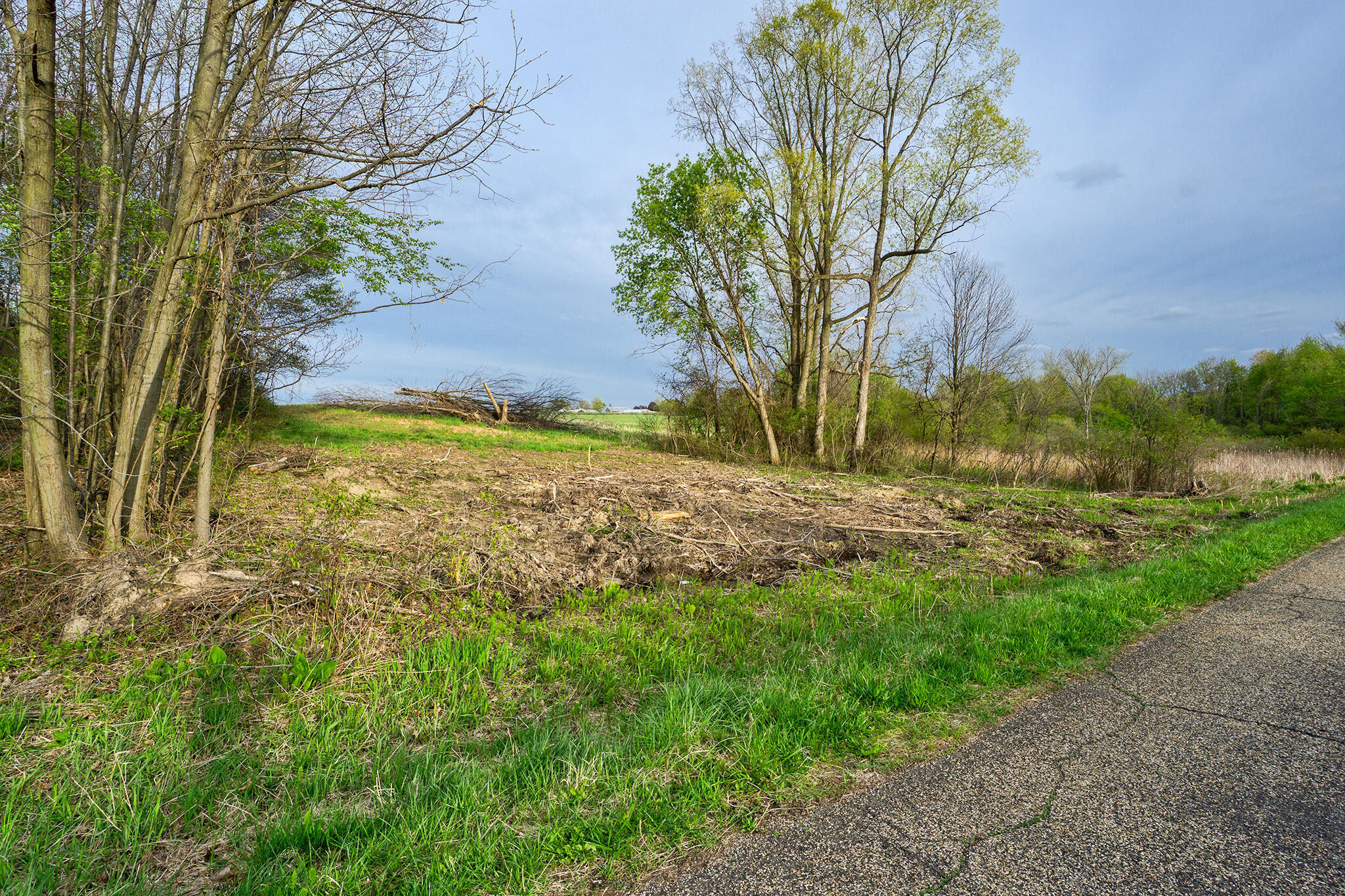 Vl A Vl A Dutch Rives Junction Rives Junction, MI 49277 - Photo 2 of 5 Parcel-A-W-Field road-View-Neil-Hardcast