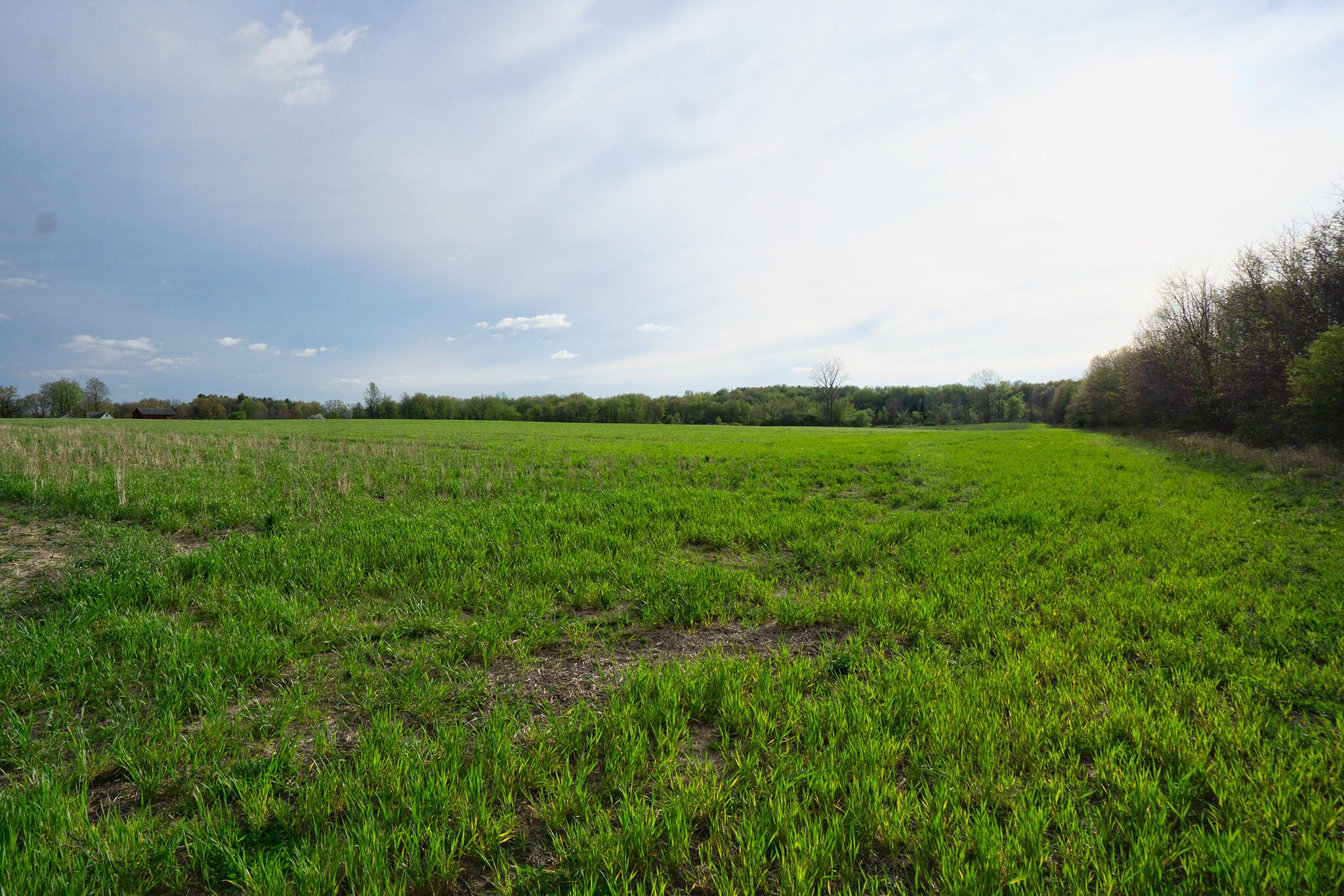 Vl A Vl A Dutch Rives Junction Rives Junction, MI 49277 - Photo 4 of 5 Parcel-A-W-Field-View-Neil-Hardcastle-Ho
