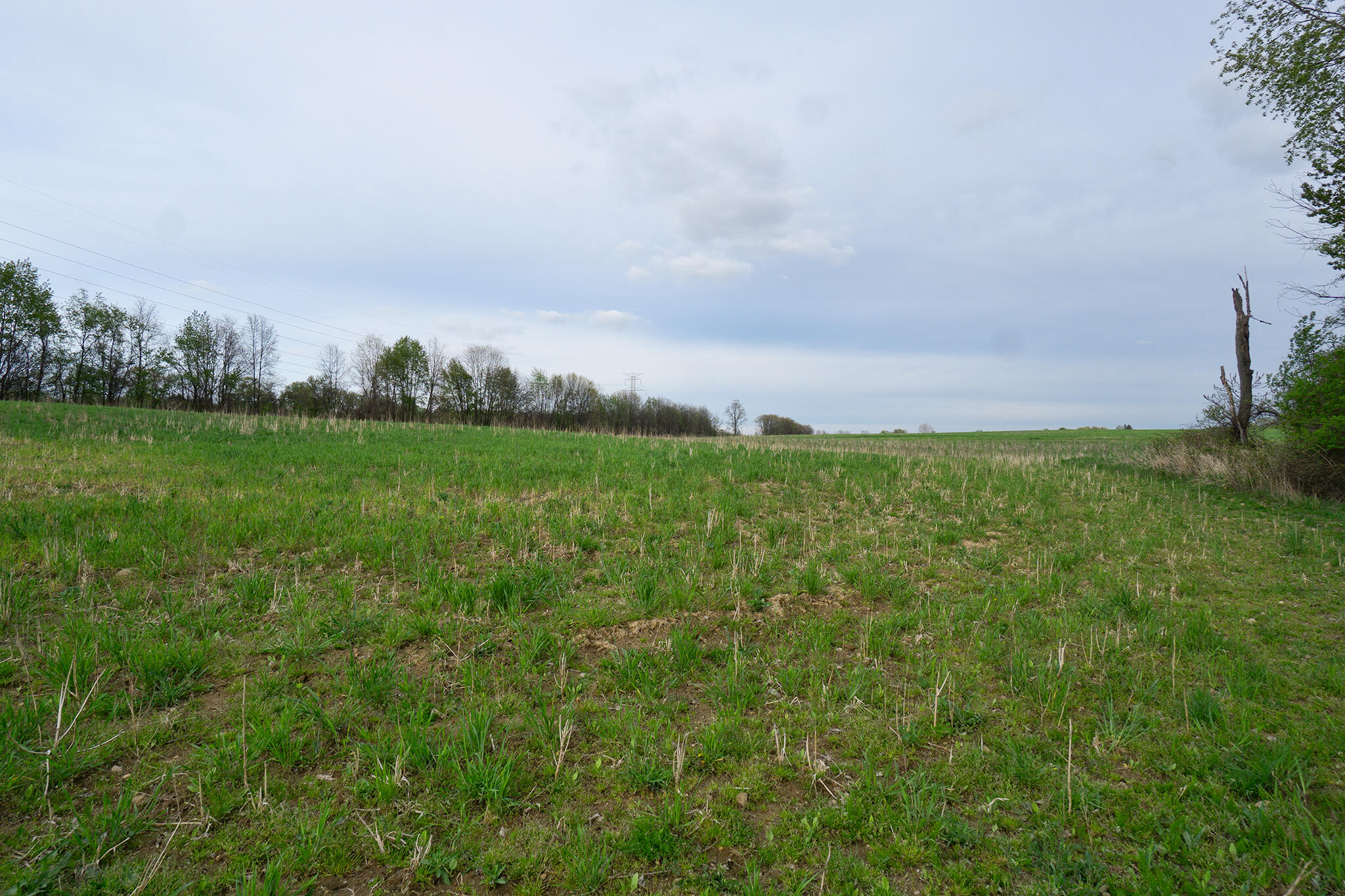 Vl A Vl A Dutch Rives Junction Rives Junction, MI 49277 - Photo 5 of 5 Parcel-A-SW-Field-View-Neil-Hardcastle-H