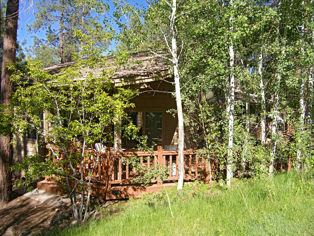452 Griffiths Spring Flagstaff, AZ 86005 - Photo 5 of 22 17