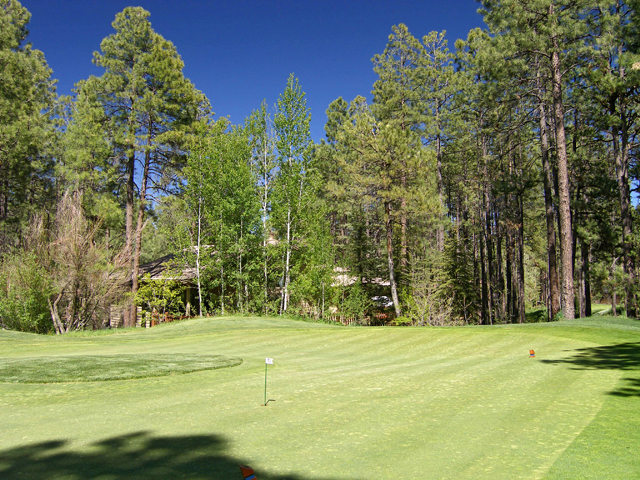 452 Griffiths Spring Flagstaff, AZ 86005 - Photo 10 of 22 putt