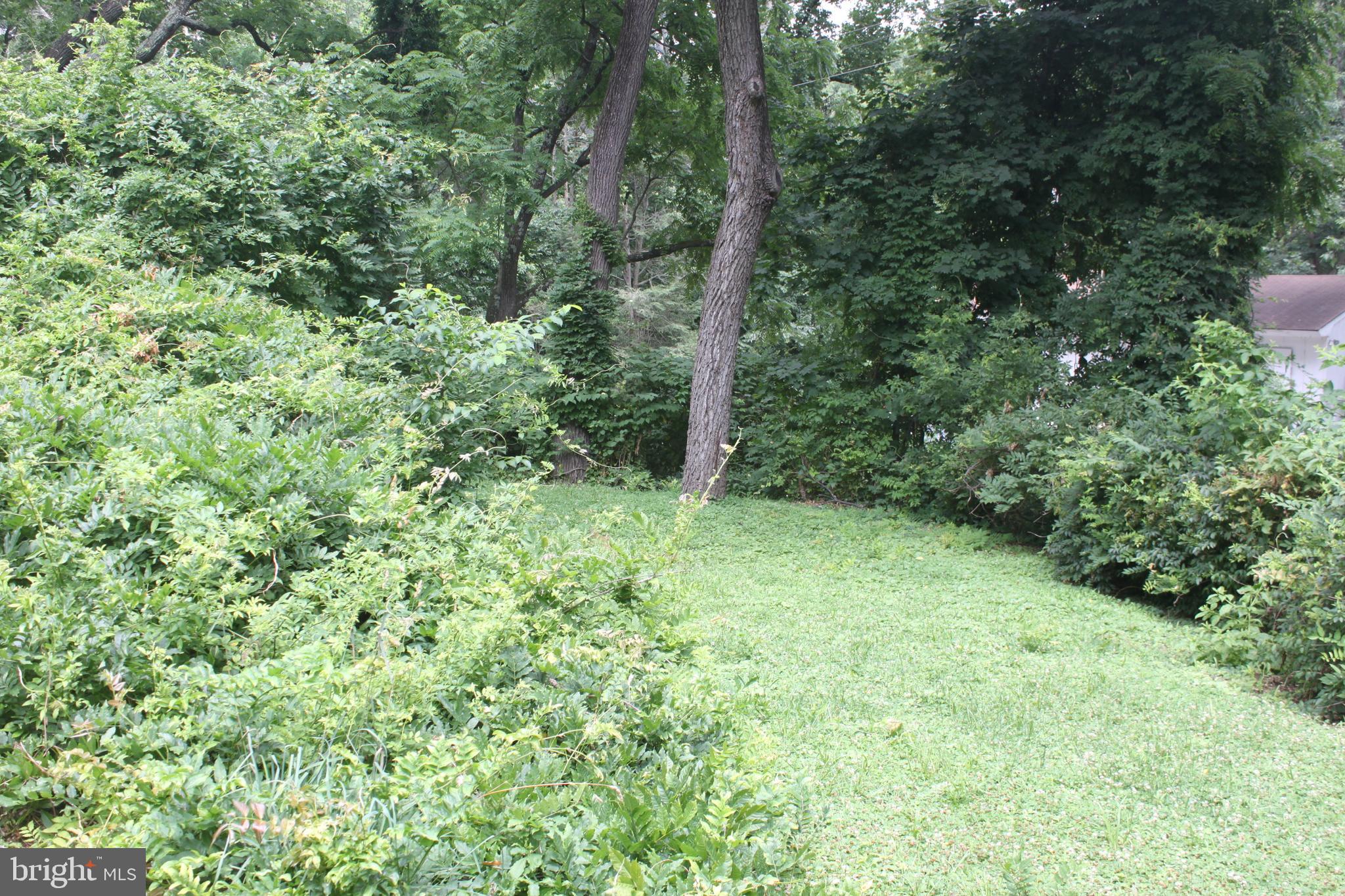 221 Moredon Road Huntingdon Valley, PA 19006 - Photo 16 of 43