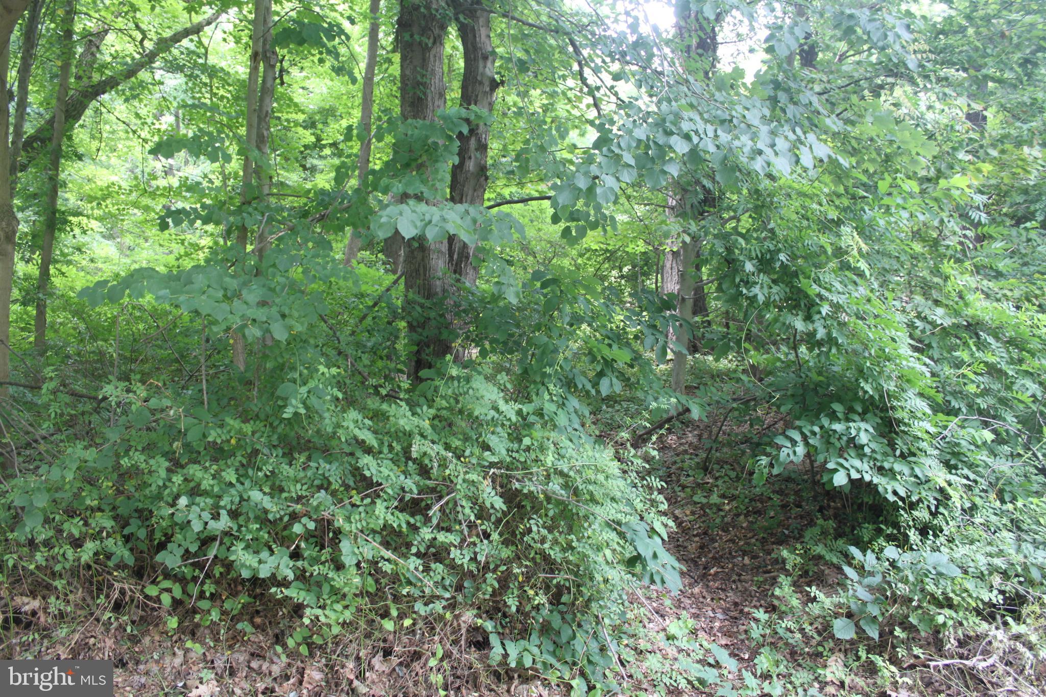 221 Moredon Road Huntingdon Valley, PA 19006 - Photo 22 of 43