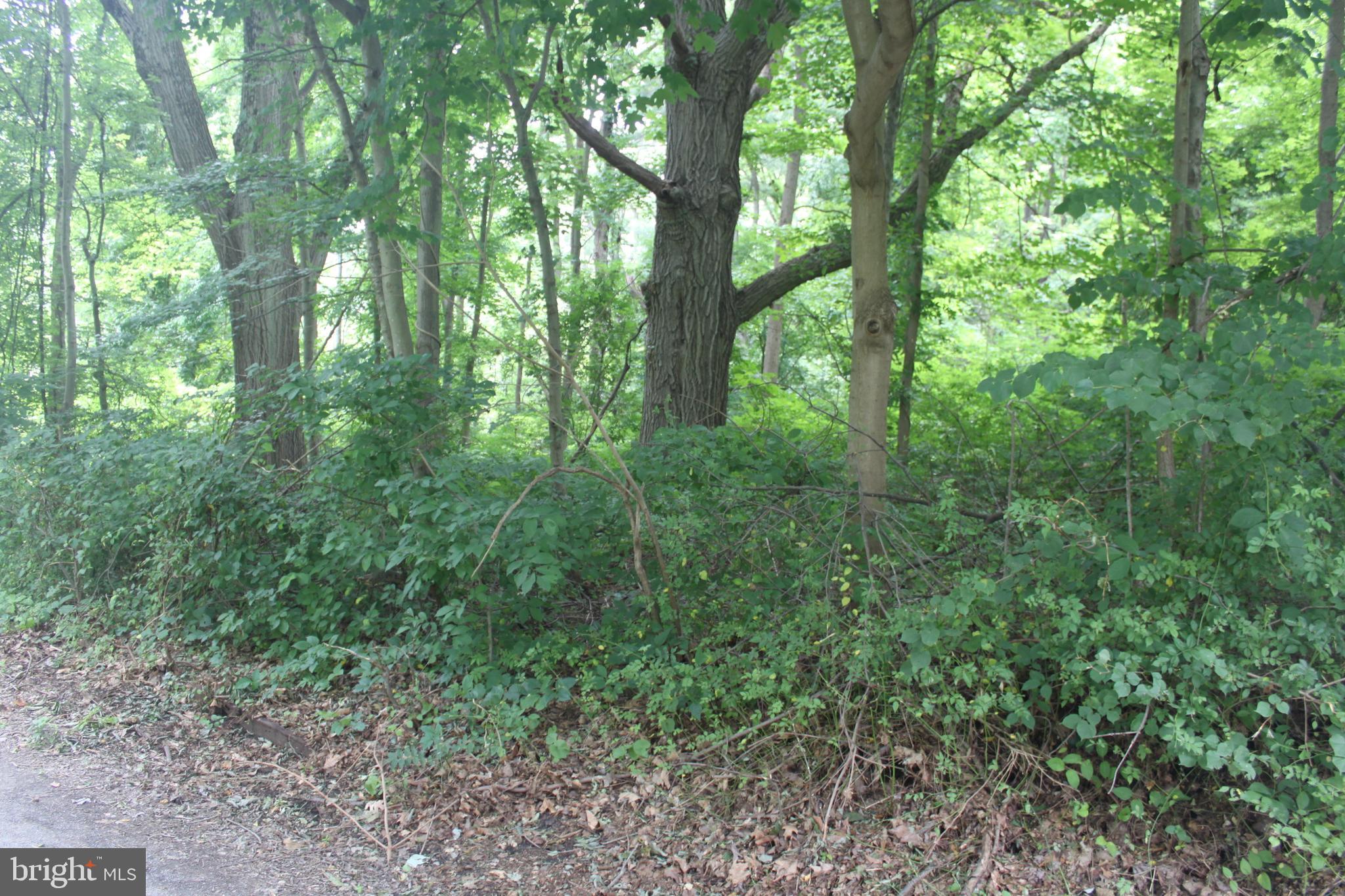 221 Moredon Road Huntingdon Valley, PA 19006 - Photo 23 of 43