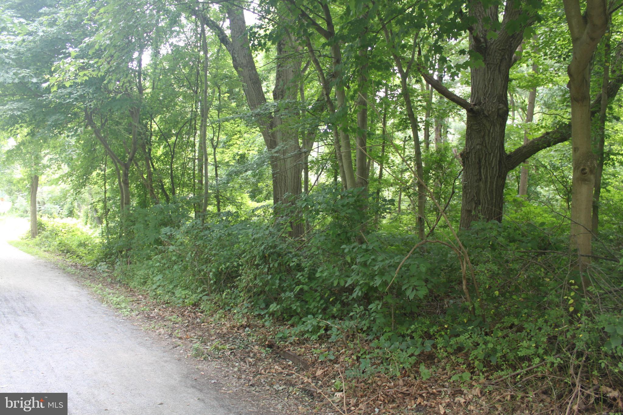 221 Moredon Road Huntingdon Valley, PA 19006 - Photo 24 of 43