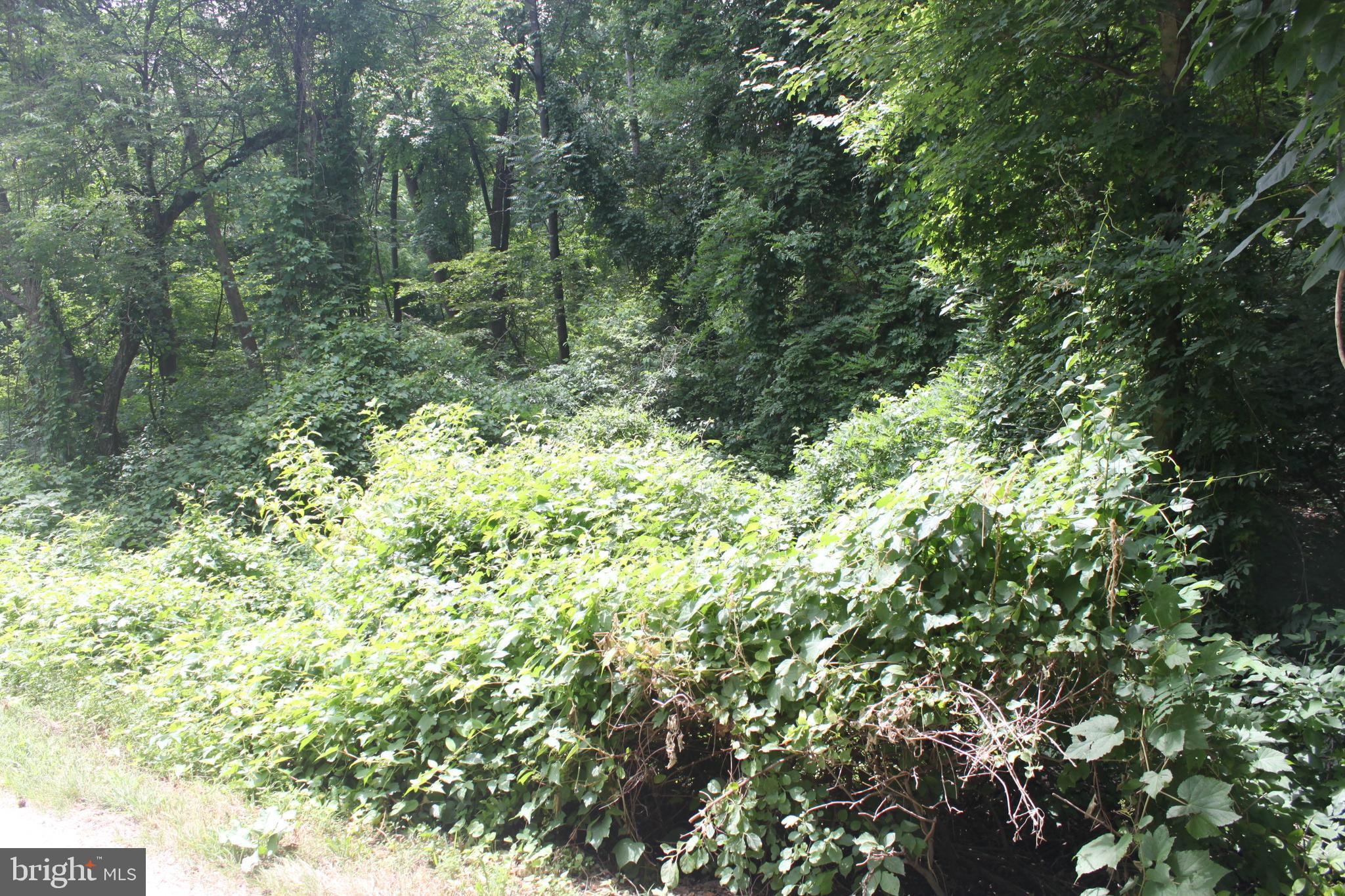 221 Moredon Road Huntingdon Valley, PA 19006 - Photo 25 of 43