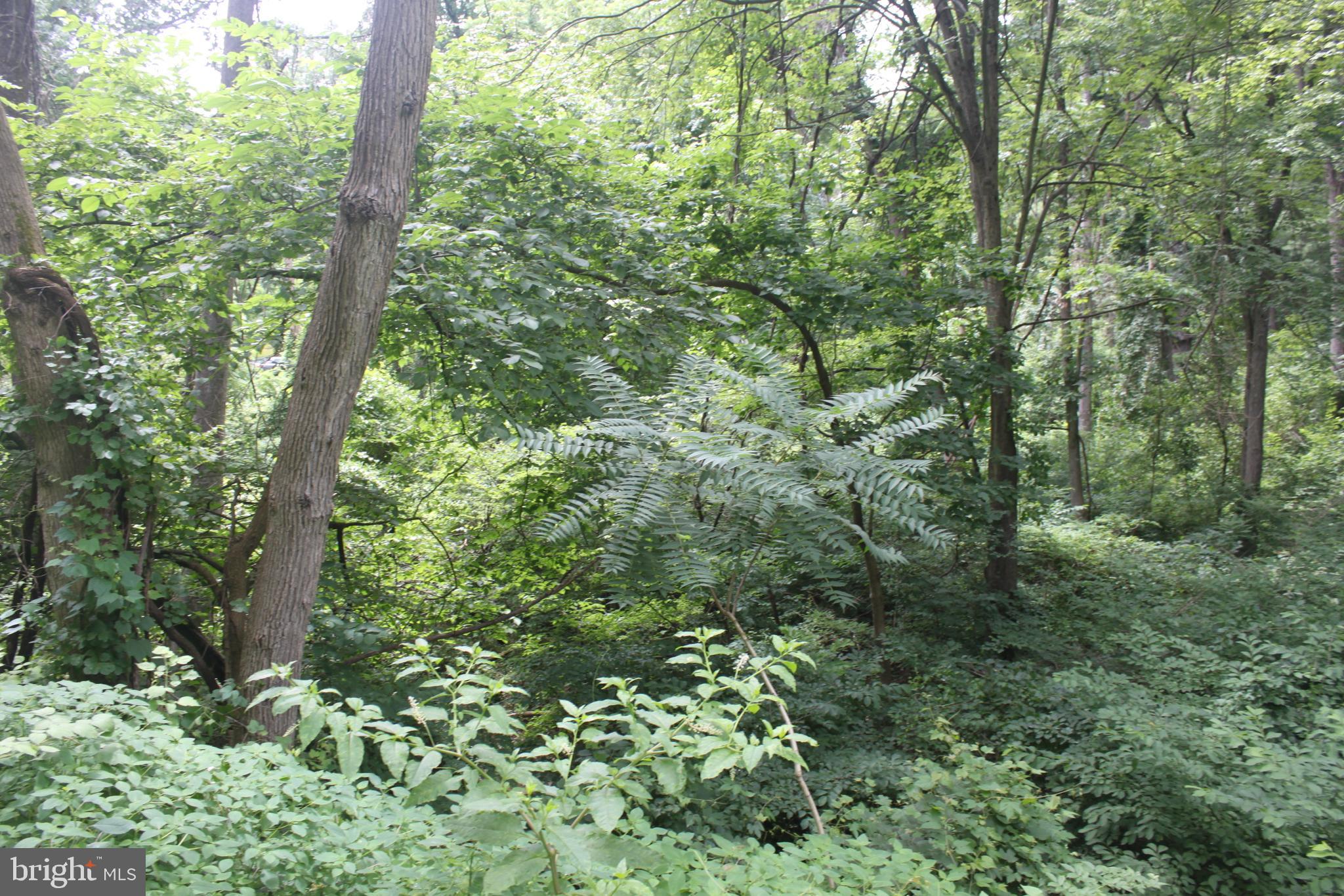 221 Moredon Road Huntingdon Valley, PA 19006 - Photo 30 of 43