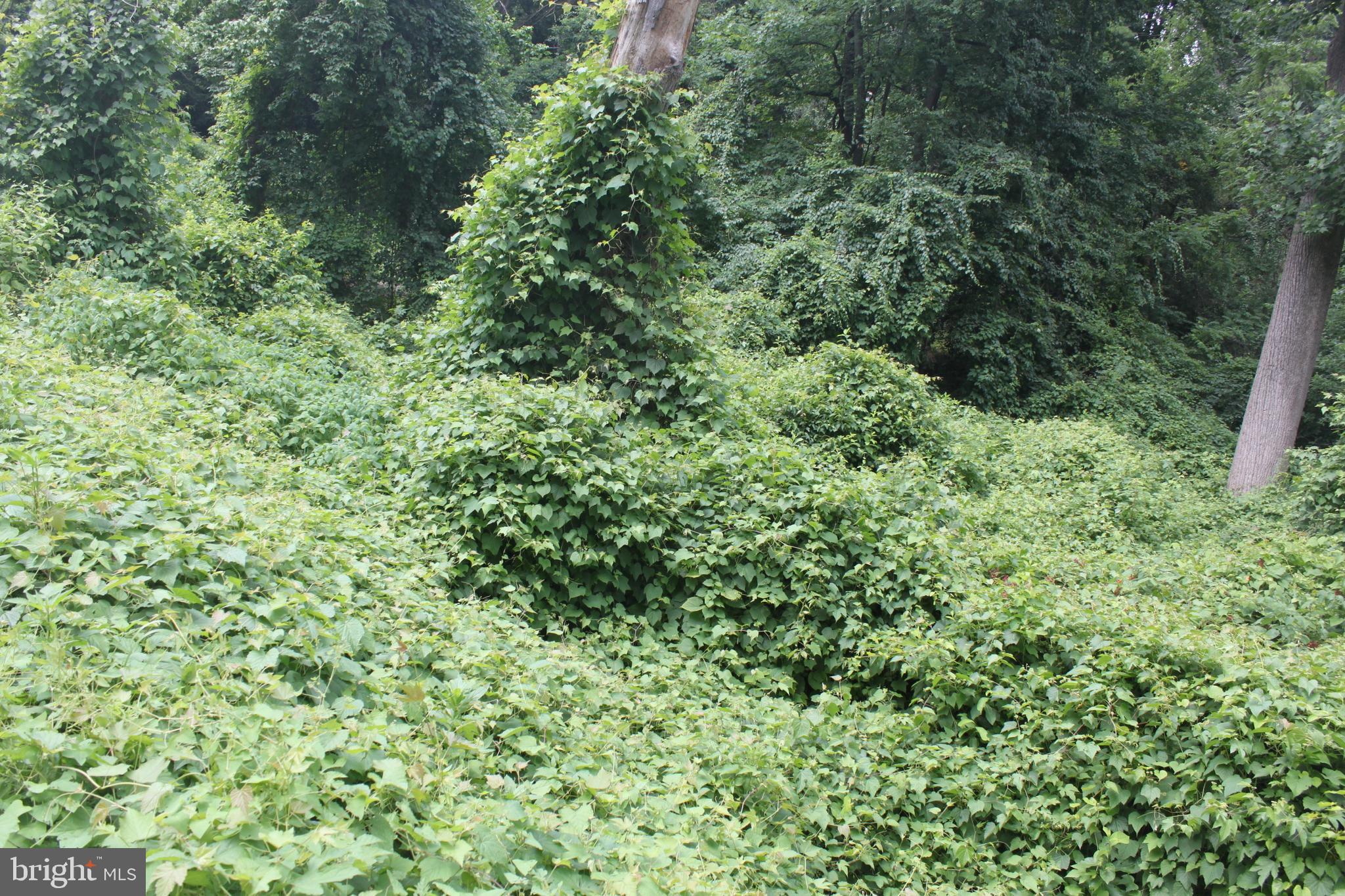 221 Moredon Road Huntingdon Valley, PA 19006 - Photo 37 of 43