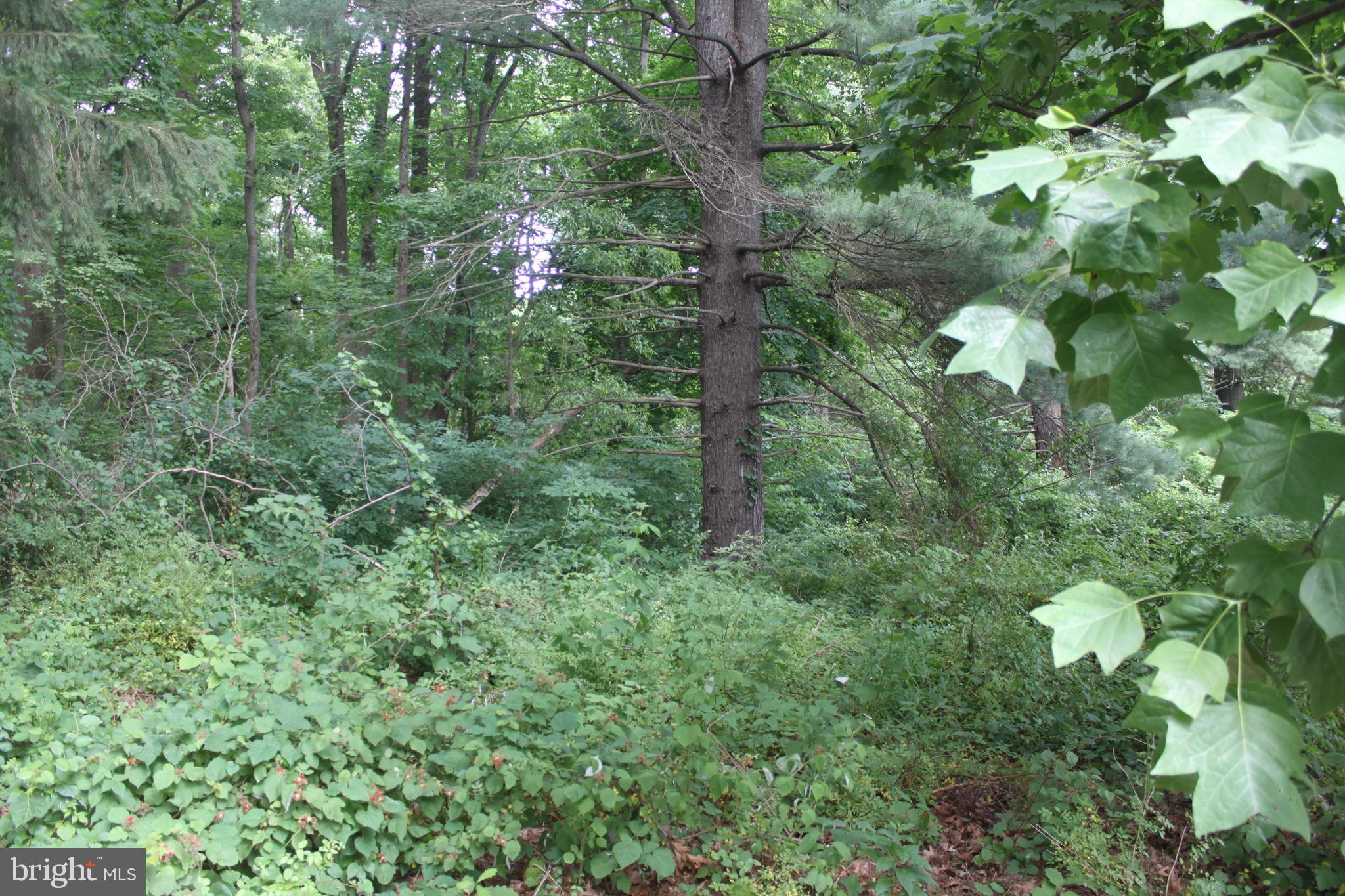 221 Moredon Road Huntingdon Valley, PA 19006 - Photo 41 of 43
