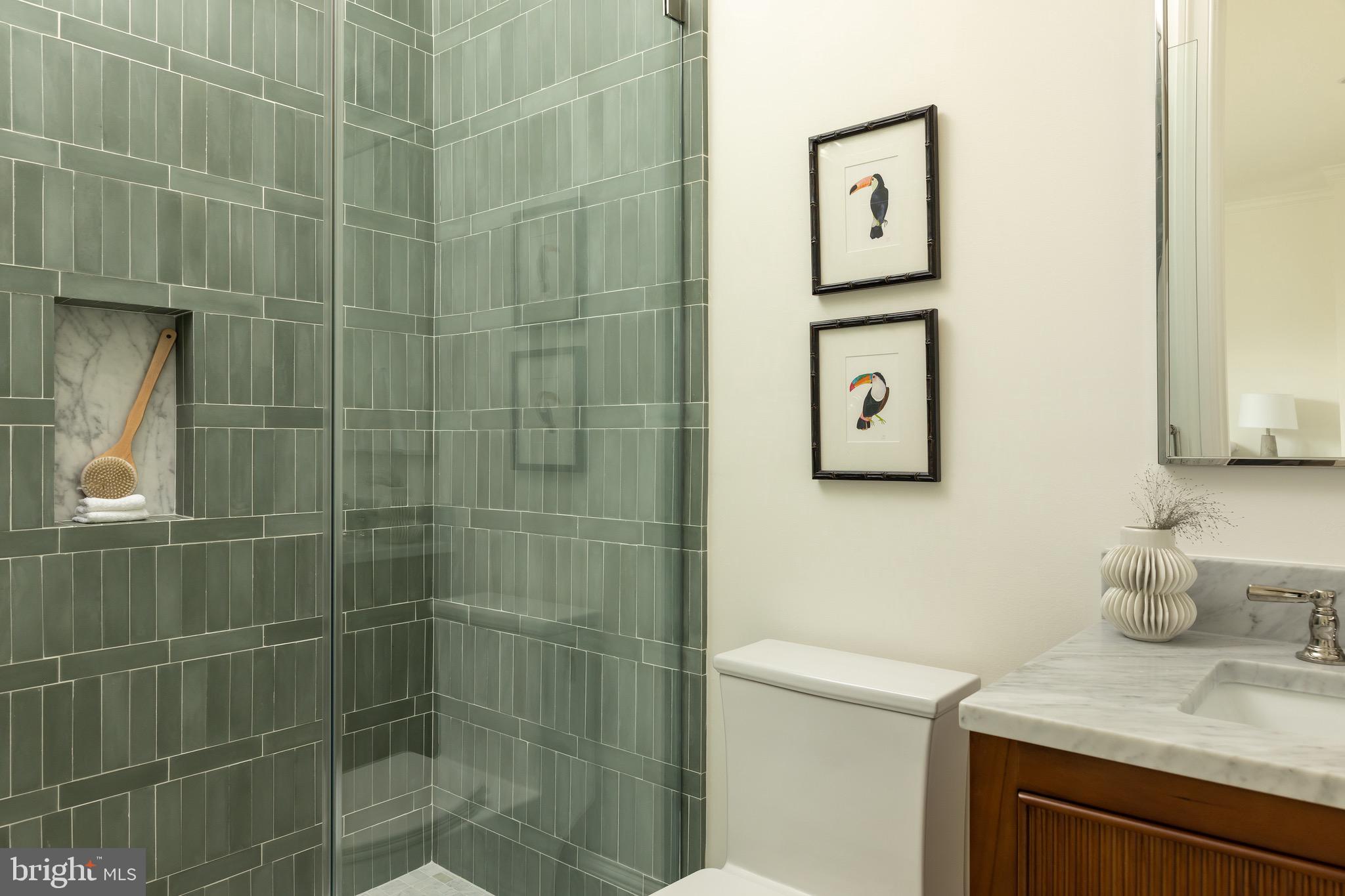 2934 Ellicott Terrace Northwest Washington, DC 20008 - Photo 34 of 55 a bathroom with a shower and a sink