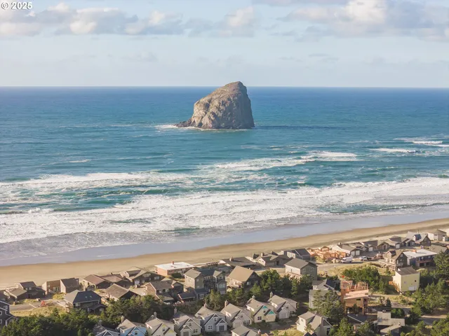 a bird view of a house