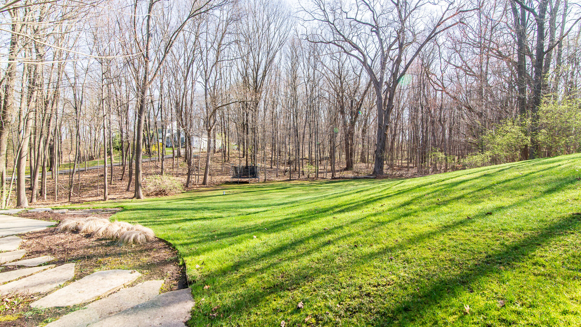 8472 Webster Hills Road Dexter, MI 48130 - Photo 5 of 50 010_5