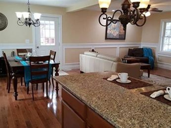 7 Rollins Street Springfield, MA 01109 - Photo 13 of 22