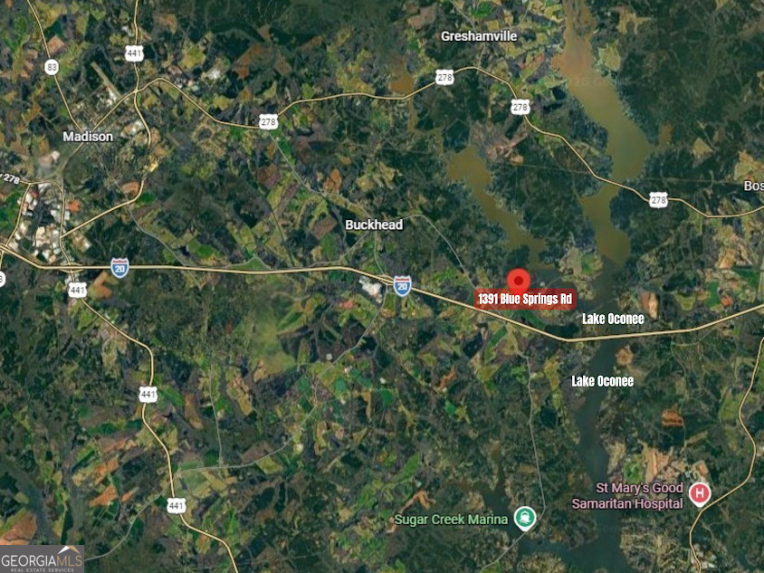 1391 Blue Springs Road Buckhead, GA 30625 - Photo 35 of 36 a view of a tree in a yard