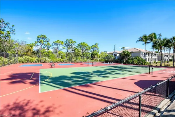 a view of a park with plants and trees