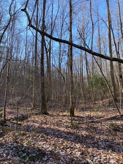 142 Cole Road Deer Lodge, TN 37726 - Photo 74 of 77 20220322195804427308000000-o