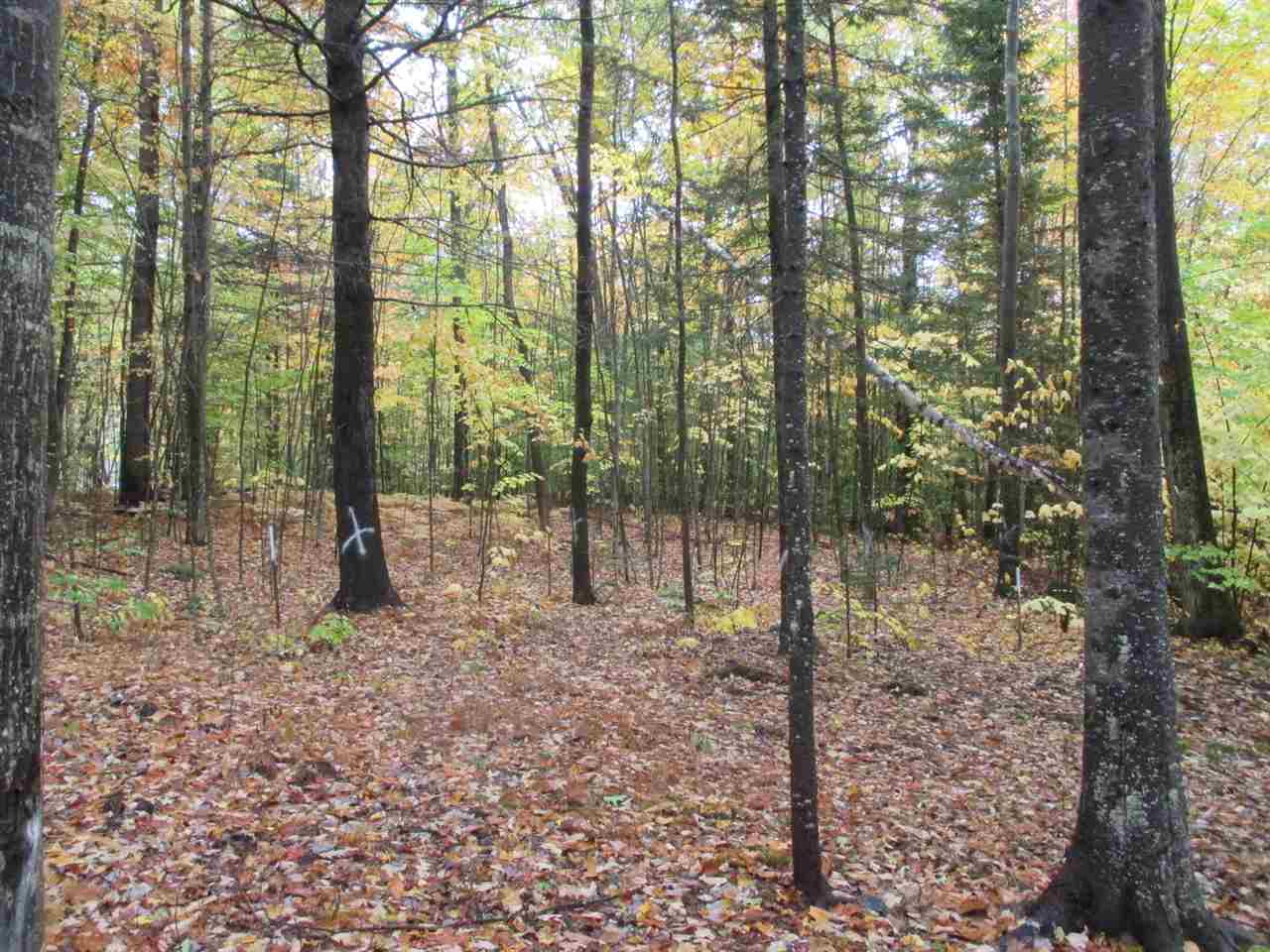 603 Faraway Road Dalton, NH 03598 - Photo 11 of 37