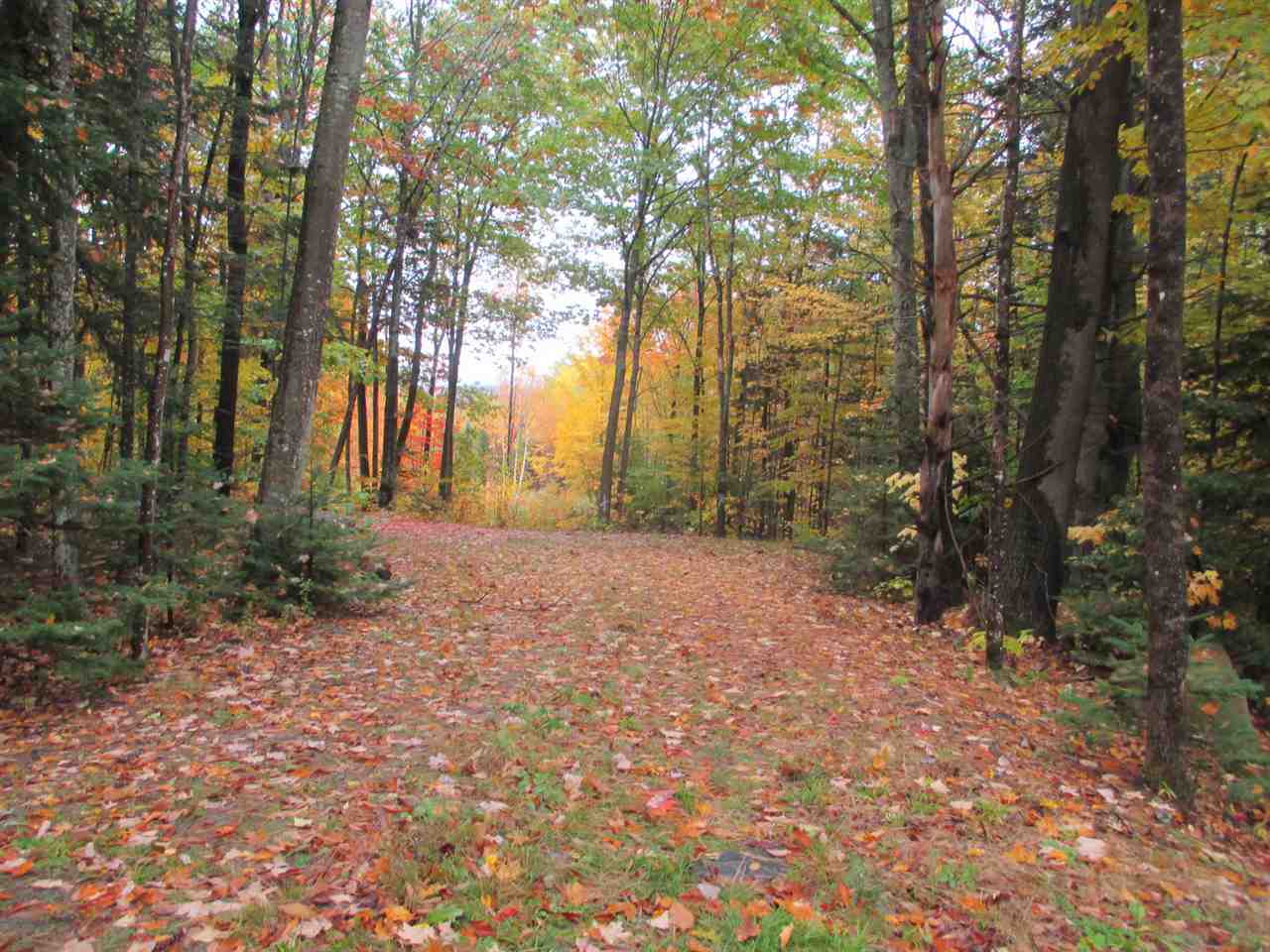 603 Faraway Road Dalton, NH 03598 - Photo 14 of 37