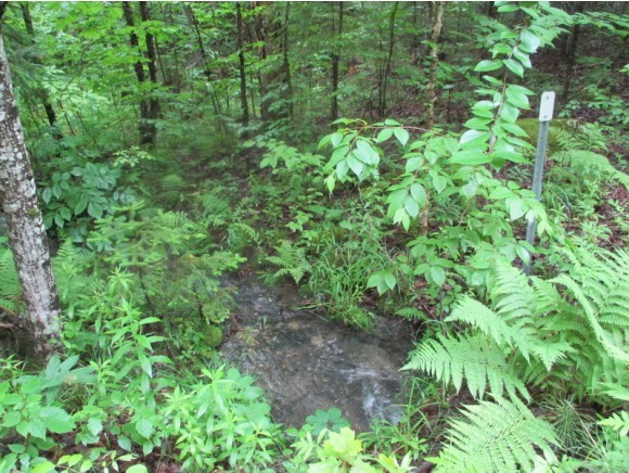 603 Faraway Road Dalton, NH 03598 - Photo 18 of 37