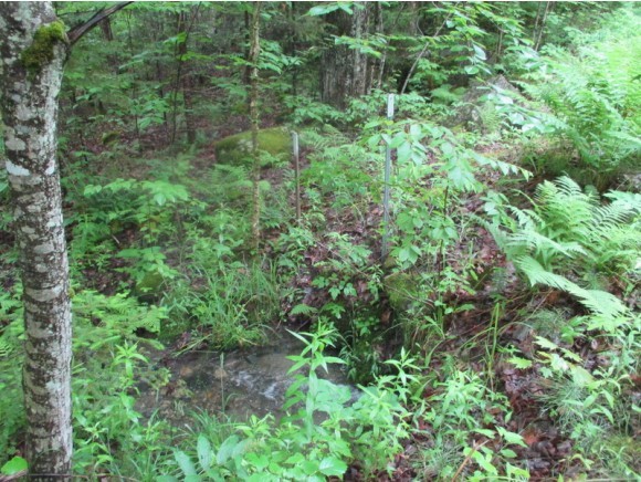 603 Faraway Road Dalton, NH 03598 - Photo 19 of 37