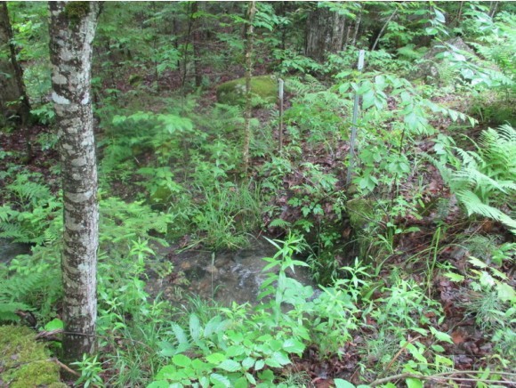 603 Faraway Road Dalton, NH 03598 - Photo 20 of 37