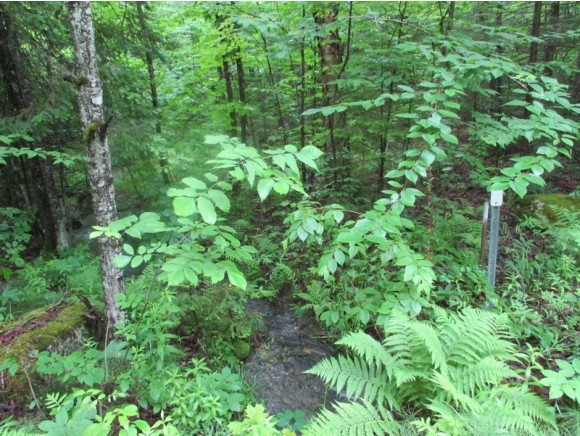 603 Faraway Road Dalton, NH 03598 - Photo 21 of 37