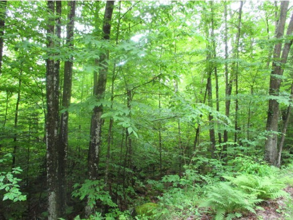 603 Faraway Road Dalton, NH 03598 - Photo 26 of 37