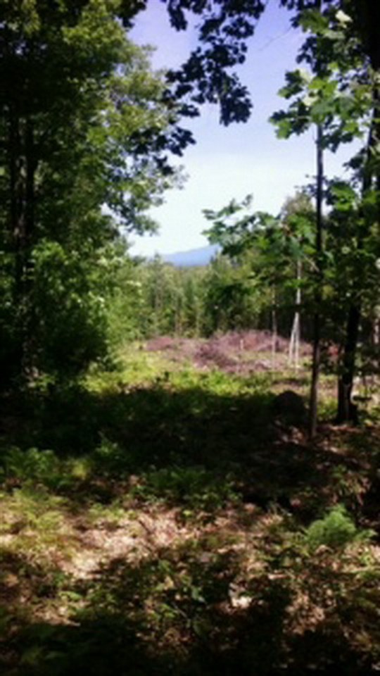 603 Faraway Road Dalton, NH 03598 - Photo 29 of 37