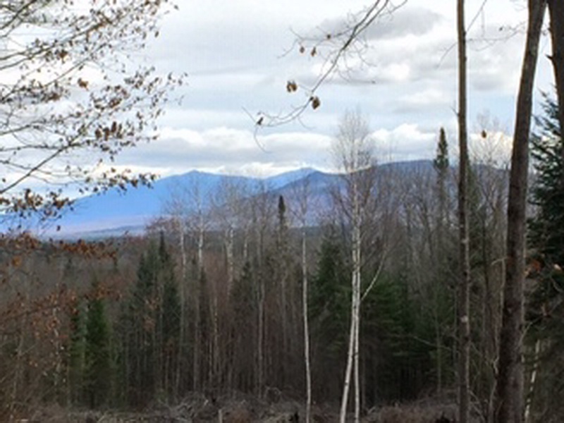 603 Faraway Road Dalton, NH 03598 - Photo 30 of 37