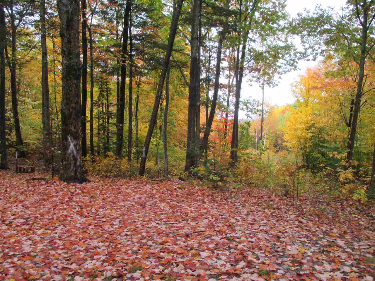 603 Faraway Road Dalton, NH 03598 - Photo 6 of 37