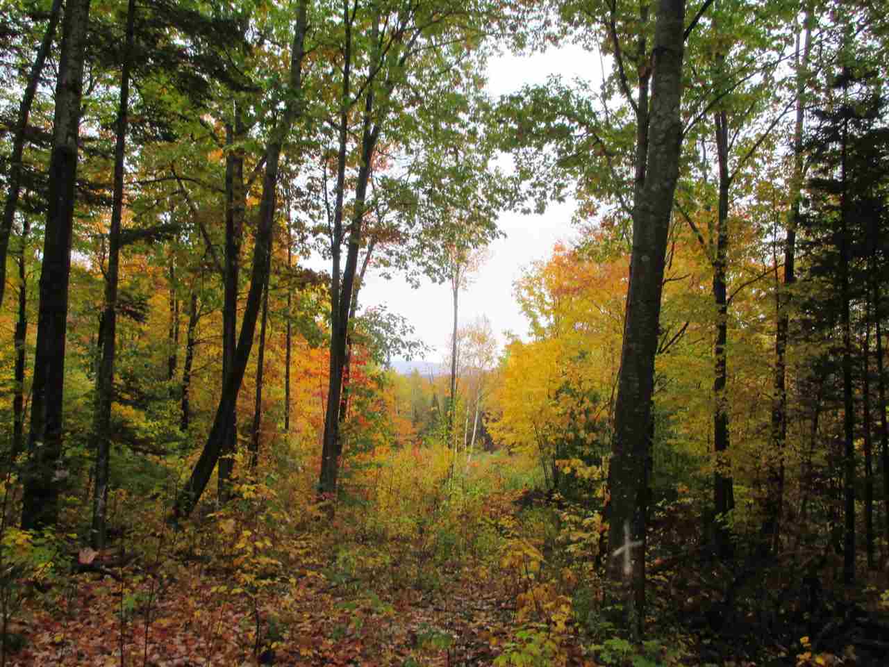 603 Faraway Road Dalton, NH 03598 - Photo 8 of 37